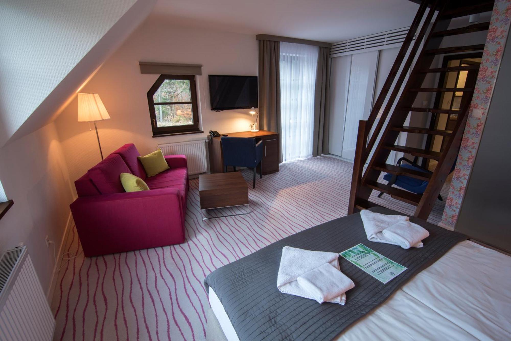 Aparthotel Flinski Sport & Spa Świeradów-Zdrój 객실 사진