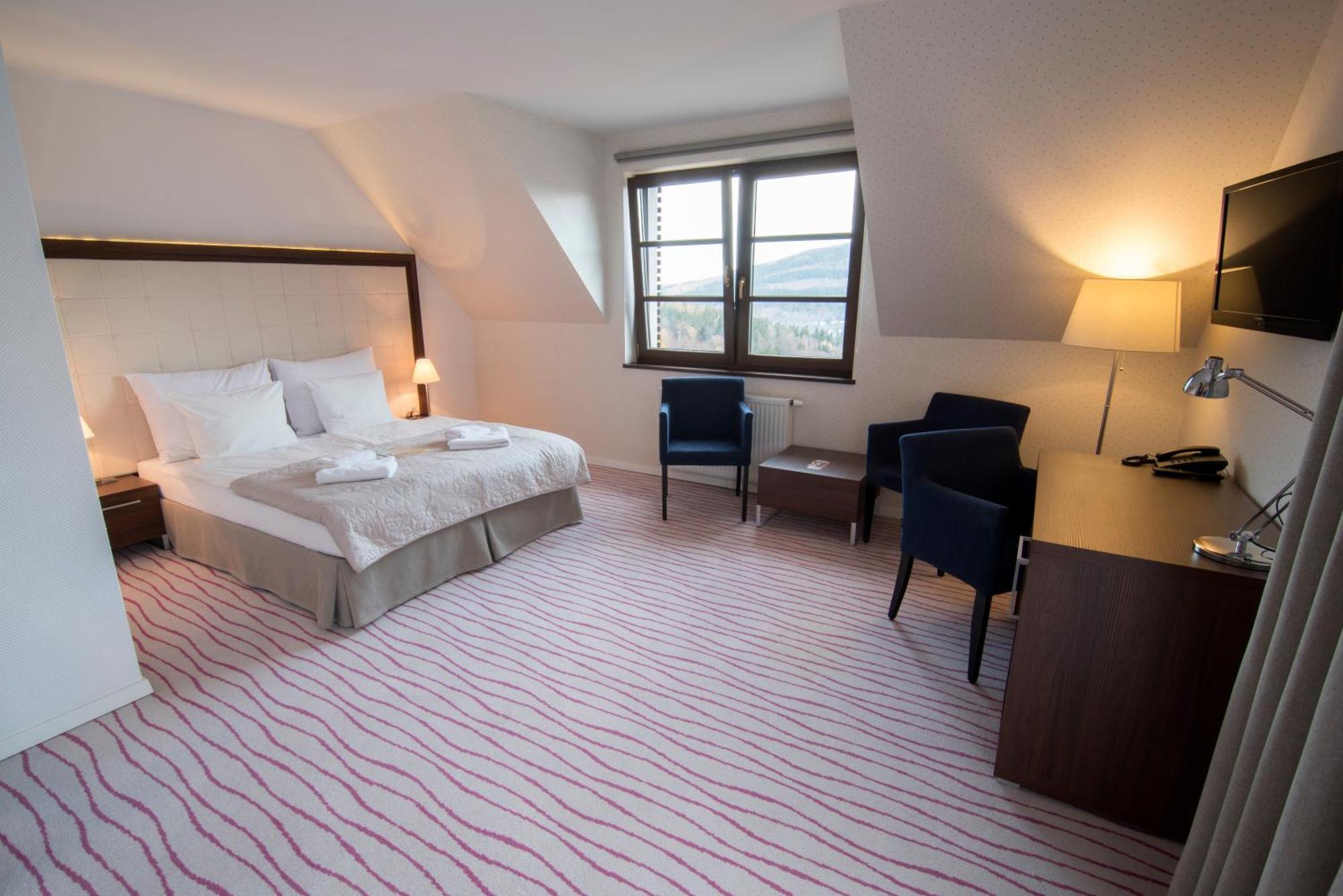 Aparthotel Flinski Sport & Spa Świeradów-Zdrój 객실 사진