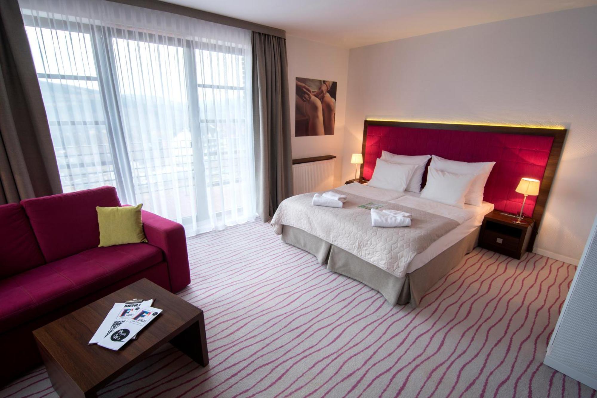 Aparthotel Flinski Sport & Spa Świeradów-Zdrój 객실 사진